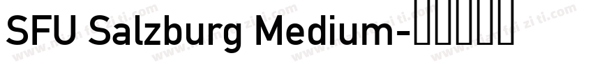 SFU Salzburg Medium字体转换